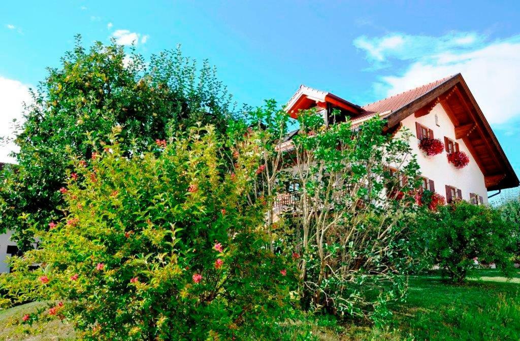 Gaestehaus Walser Unterbrunn 外观 照片